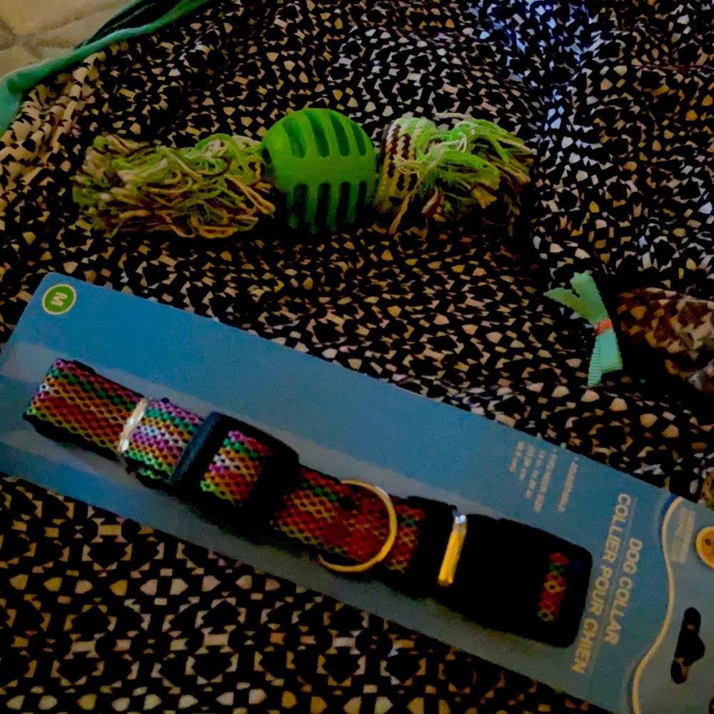 Duo set - small dog rope/rubber ball tuggie toy snd  multi color dog collar